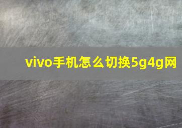 vivo手机怎么切换5g4g网