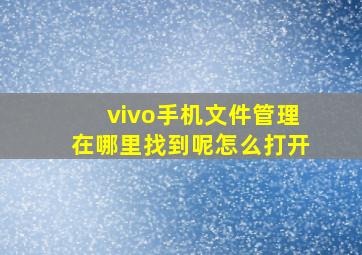 vivo手机文件管理在哪里找到呢怎么打开