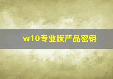 w10专业版产品密钥