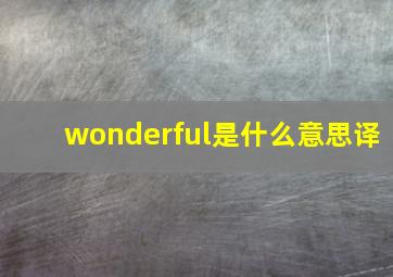 wonderful是什么意思译