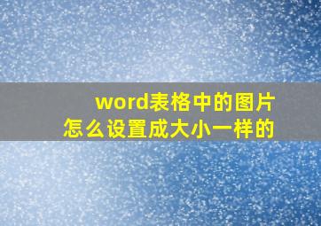 word表格中的图片怎么设置成大小一样的