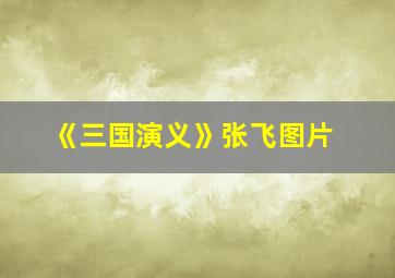 《三国演义》张飞图片