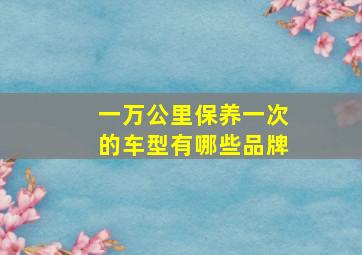 一万公里保养一次的车型有哪些品牌