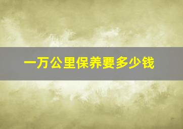 一万公里保养要多少钱