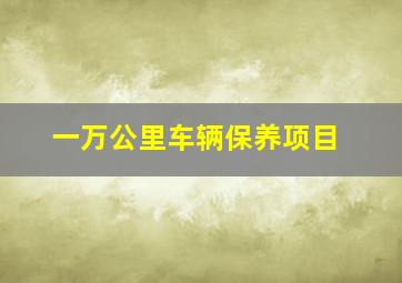 一万公里车辆保养项目