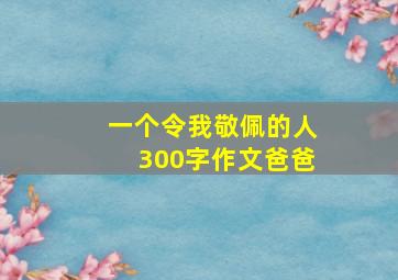 一个令我敬佩的人300字作文爸爸