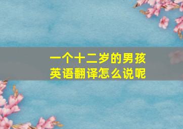 一个十二岁的男孩英语翻译怎么说呢