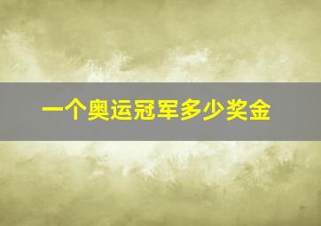 一个奥运冠军多少奖金