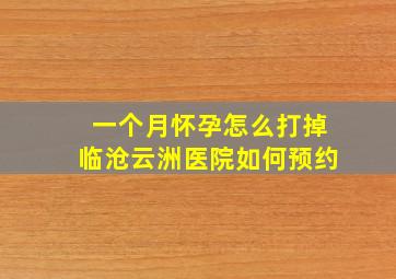 一个月怀孕怎么打掉临沧云洲医院如何预约