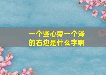 一个竖心旁一个泽的右边是什么字啊