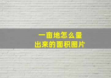 一亩地怎么量出来的面积图片