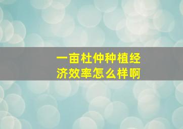 一亩杜仲种植经济效率怎么样啊