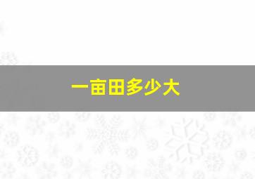 一亩田多少大