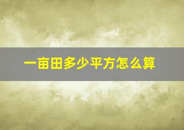 一亩田多少平方怎么算