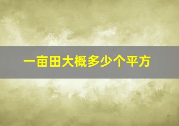 一亩田大概多少个平方