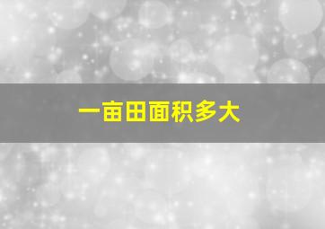 一亩田面积多大