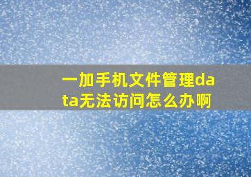 一加手机文件管理data无法访问怎么办啊