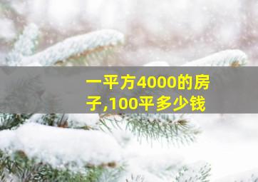 一平方4000的房子,100平多少钱