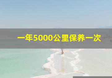 一年5000公里保养一次