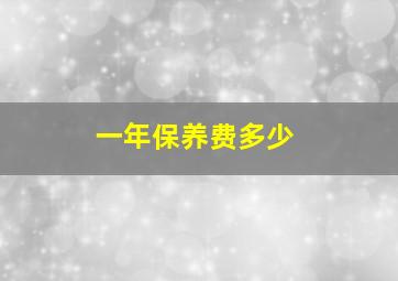 一年保养费多少