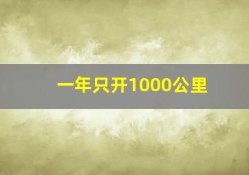 一年只开1000公里