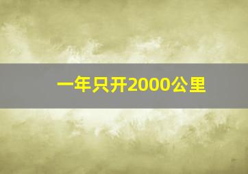 一年只开2000公里