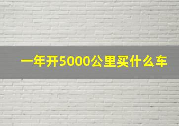 一年开5000公里买什么车