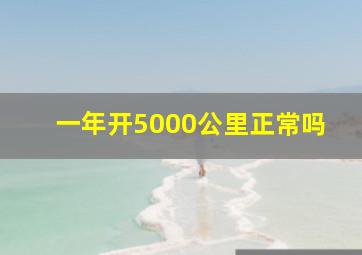 一年开5000公里正常吗