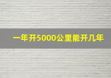 一年开5000公里能开几年