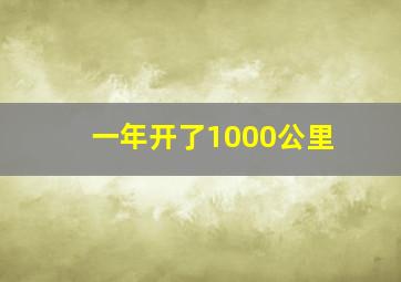 一年开了1000公里