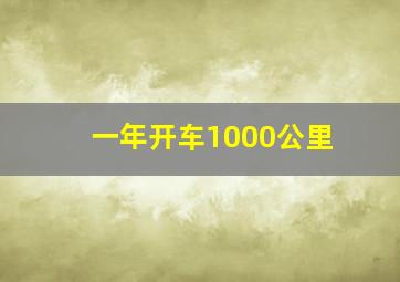 一年开车1000公里