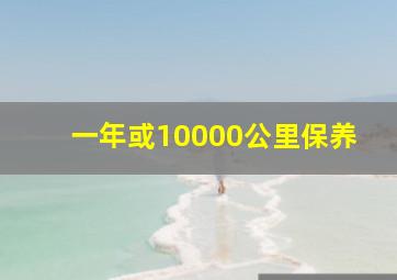 一年或10000公里保养