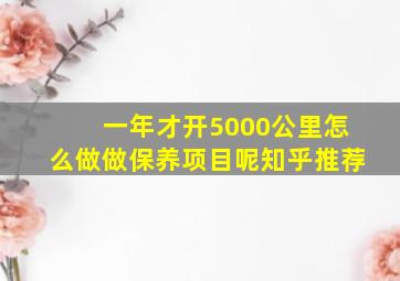 一年才开5000公里怎么做做保养项目呢知乎推荐