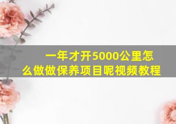 一年才开5000公里怎么做做保养项目呢视频教程