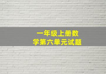 一年级上册数学第六单元试题