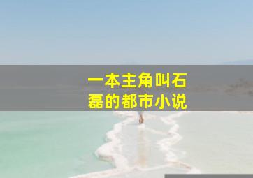 一本主角叫石磊的都市小说