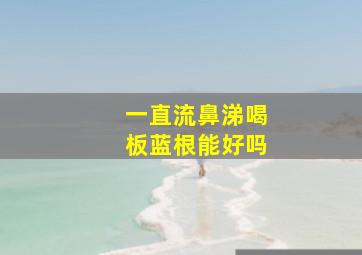 一直流鼻涕喝板蓝根能好吗