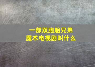 一部双胞胎兄弟魔术电视剧叫什么