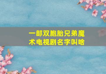 一部双胞胎兄弟魔术电视剧名字叫啥