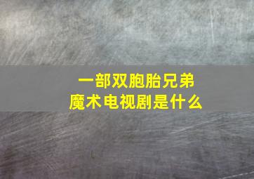 一部双胞胎兄弟魔术电视剧是什么