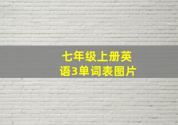 七年级上册英语3单词表图片