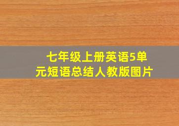 七年级上册英语5单元短语总结人教版图片