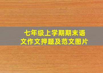 七年级上学期期末语文作文押题及范文图片