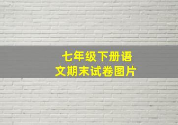 七年级下册语文期末试卷图片