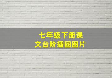 七年级下册课文台阶插图图片