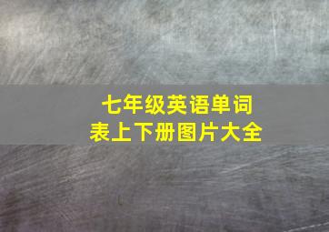 七年级英语单词表上下册图片大全