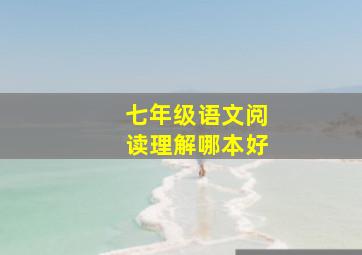 七年级语文阅读理解哪本好