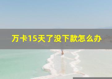 万卡15天了没下款怎么办