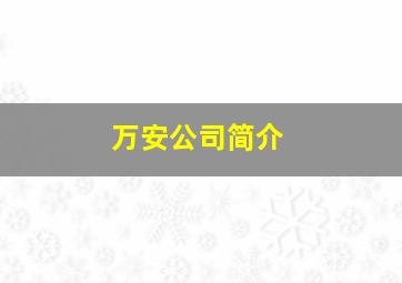 万安公司简介