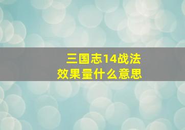 三国志14战法效果量什么意思